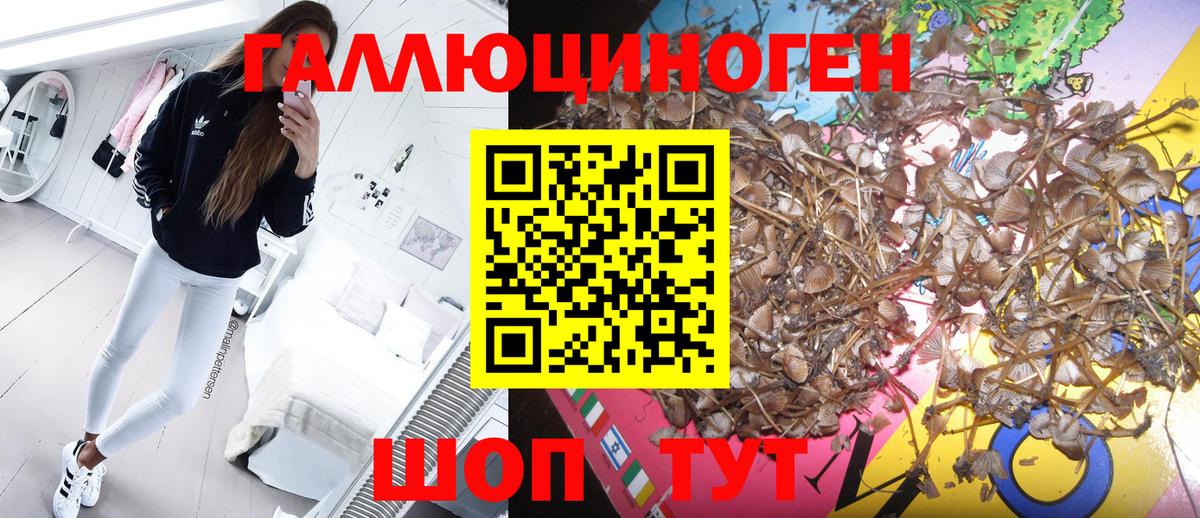 Псилоцибиновые грибы Magic Shrooms  Вход с VPN  Кисловодск 